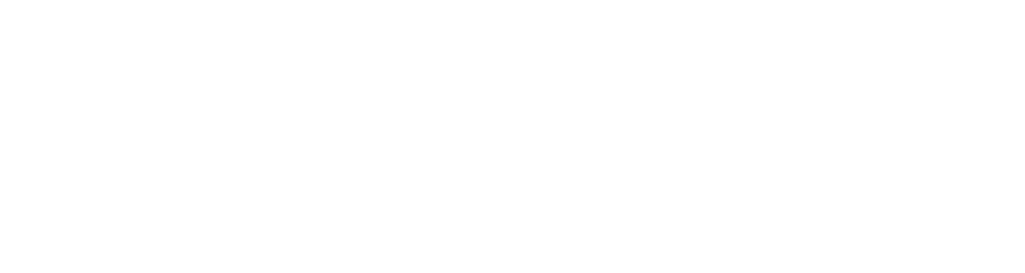 Doctor-Pet logo