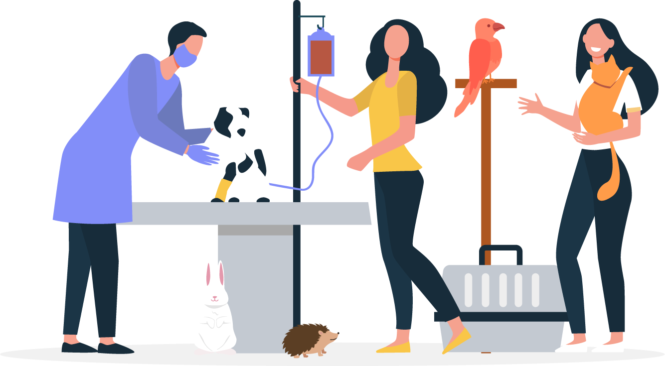 Mascota con veterinario